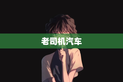 老司机汽车