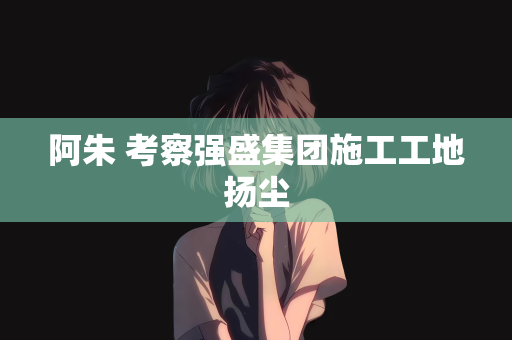 阿朱 考察强盛集团施工工地扬尘