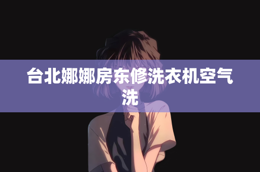 台北娜娜房东修洗衣机空气洗