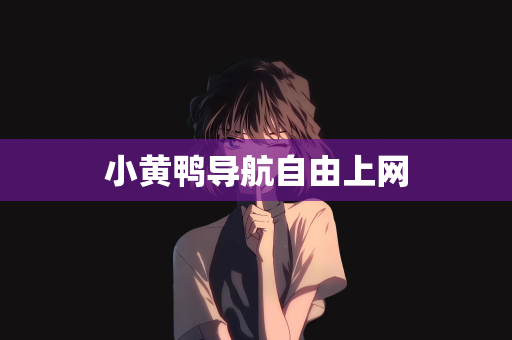 小黄鸭导航自由上网