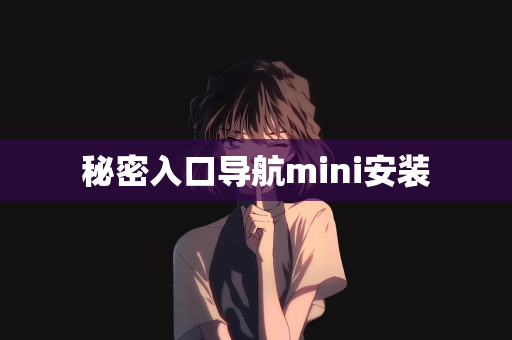 秘密入口导航mini安装