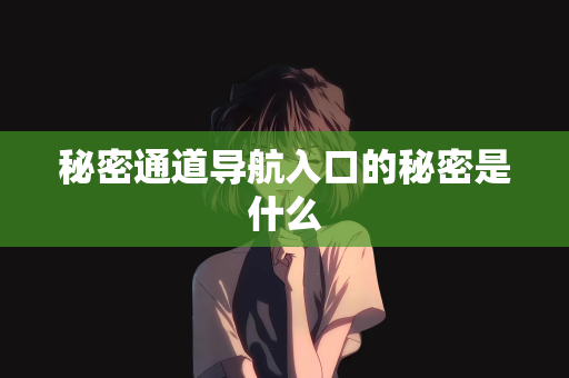 秘密通道导航入口的秘密是什么