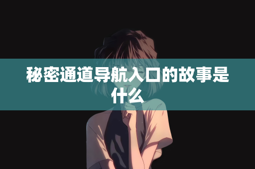 秘密通道导航入口的故事是什么