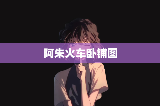 阿朱火车卧铺图