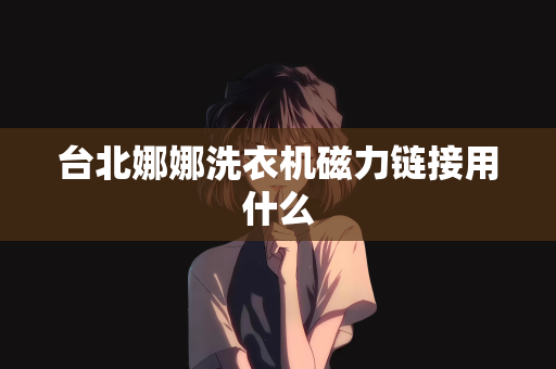 台北娜娜洗衣机磁力链接用什么