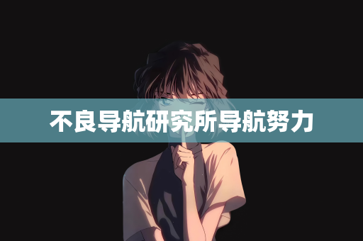 不良导航研究所导航努力
