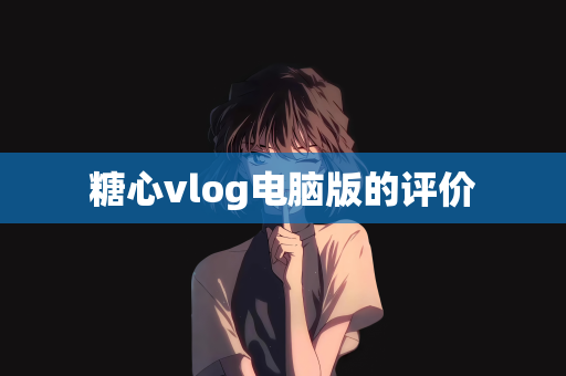 糖心vlog电脑版的评价