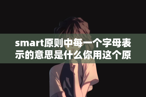 smart原则中每一个字母表示的意思是什么你用这个原则给自己设定出的目标是怎样的