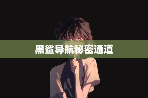 黑鲨导航秘密通道