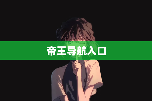 帝王导航入口