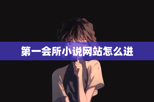 第一会所小说网站怎么进