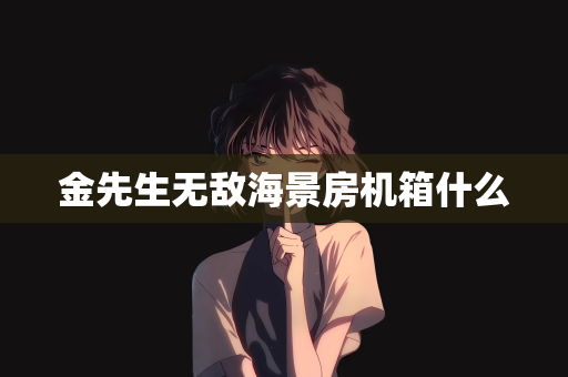 金先生无敌海景房机箱什么