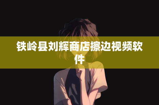 铁岭县刘辉商店擦边视频软件