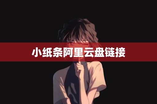 小纸条阿里云盘链接