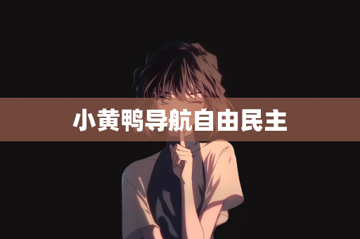 小黄鸭导航自由民主